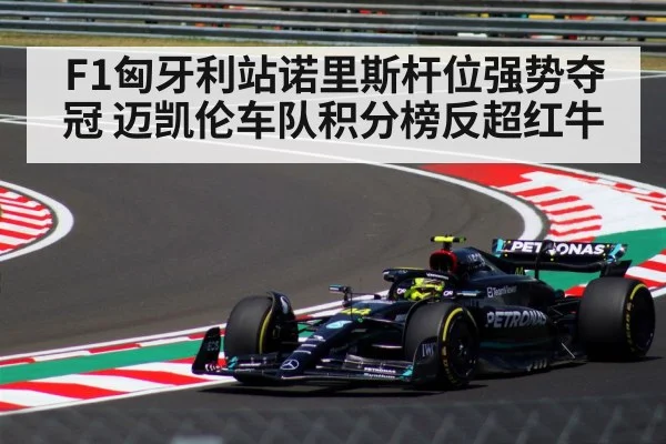 F1匈牙利站诺里斯杆位强势夺冠 迈凯伦车队积分榜反超红牛