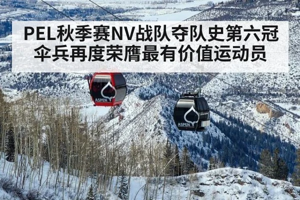 PEL秋季赛NV战队夺队史第六冠伞兵再度荣膺最有价值运动员